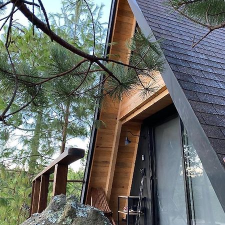 Cabanas Chalets Piedra Alta Zacatlan Camotepec Bagian luar foto