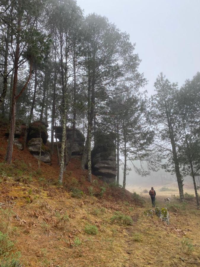 Cabanas Chalets Piedra Alta Zacatlan Camotepec Bagian luar foto