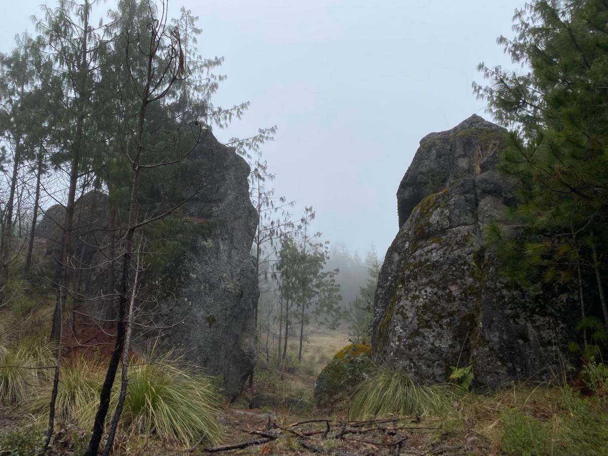 Cabanas Chalets Piedra Alta Zacatlan Camotepec Bagian luar foto