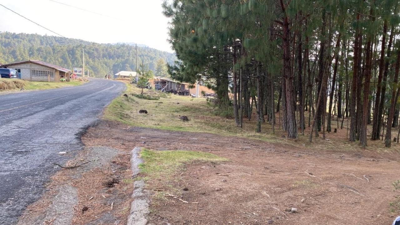 Cabanas Chalets Piedra Alta Zacatlan Camotepec Bagian luar foto